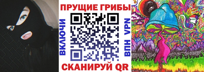 Псилоцибиновые грибы Cubensis  Яхрома 
